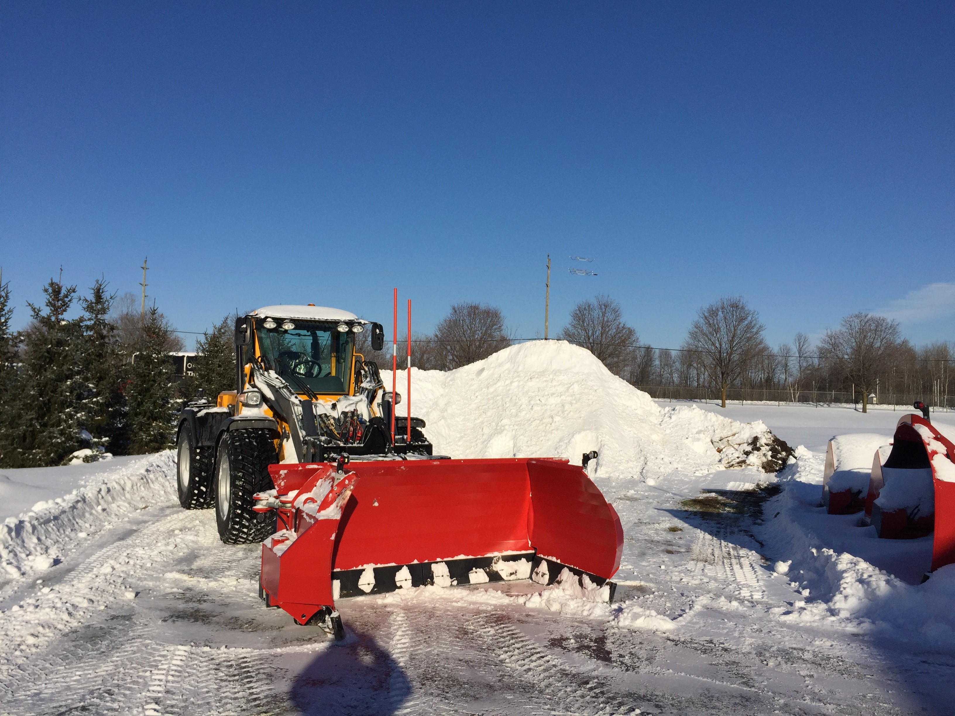 UT430 - Wille 855 5.jpg